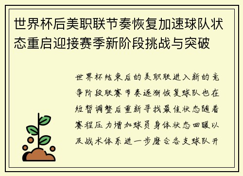 世界杯后美职联节奏恢复加速球队状态重启迎接赛季新阶段挑战与突破